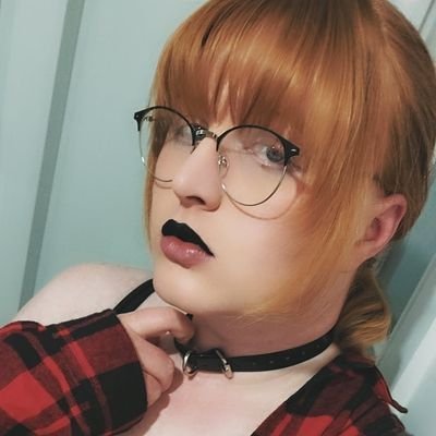 lauren's profile picture