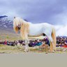Дансран profil fotoğrafı
