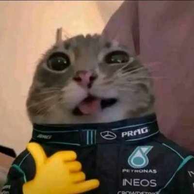 tute's profile picture