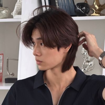 🕊️'s profile picture