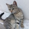 kambur balina's profile picture