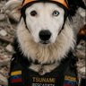 Profilbild von Elsa_Vzla