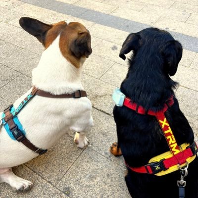 medicenfachaa's profile picture