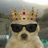 BTC.SOL profil fotoğrafı