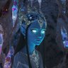 Avax's profile picture