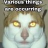 CarParkDruid's profile picture