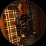 Arjun profil fotoğrafı