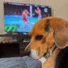 Profilbild von Manson MMA