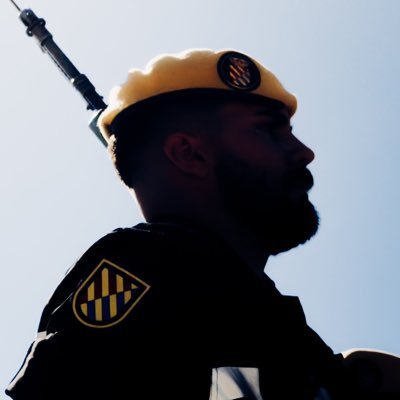 F O R T I S S I M A's profile picture