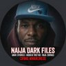 Naija Dark Files 的头像