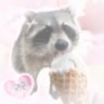 yümi🍀ミ (3+3🦝🪐🎀) 的头像