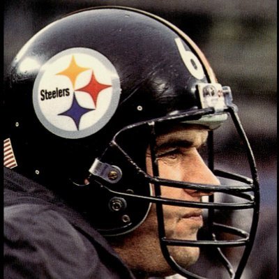 steelerwill's profile picture