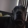 Фото профиля Some guy on the Internet