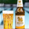 Bracoli 的头像
