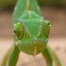 Don · fireply.ai profil fotoğrafı