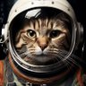 Captain Corelli's profile picture