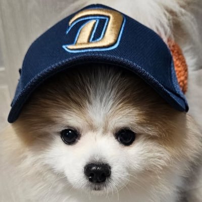 2°C's profile picture