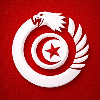 Noussour 🇹🇳's profile picture