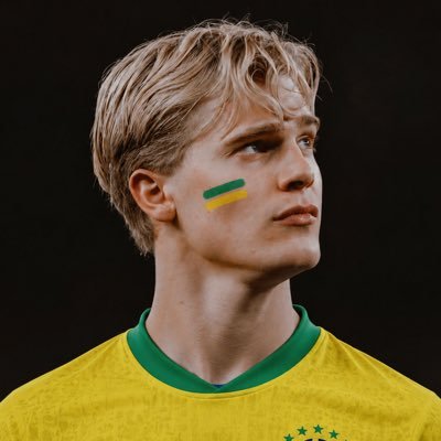 bergvallucas's profile picture