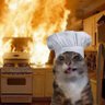 ᵐᵖᵗ⁴˜พชรฐากูร's profile picture