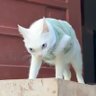 Juk profil fotoğrafı