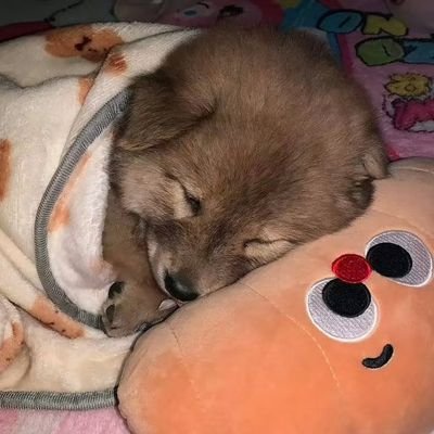 songyeerhu's profile picture