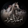 Фото профиля ام عبدالعزيز 💛 💙 🇸🇦 ((بغلفيه ))
