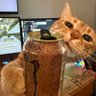 Grolb profil fotoğrafı