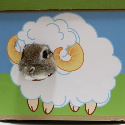 Omoghouls's profile picture