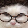 ‎★cc❇️¹²⁷'s profile picture