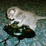 roma's profile picture
