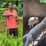 Pig Farming Academy profil fotoğrafı