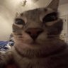 Profilbild von DesDro