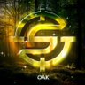 Фото профиля 1S Oak
