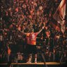 paradox's profile picture