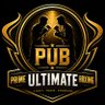 Profilbild von Prime Ultimate Boxing 🥊