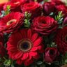 Фото профиля الوفاء