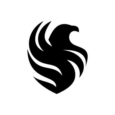 TeamFalconsGG's profile picture