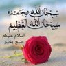 sheikh 的头像