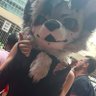 Noodleyums's profile picture