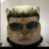 Albert Miausker's profile picture