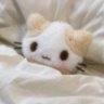 Profilbild von 𝙢𝙤𝙤𝙣