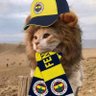Alp's profile picture