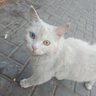 وحيد الدرب 的头像