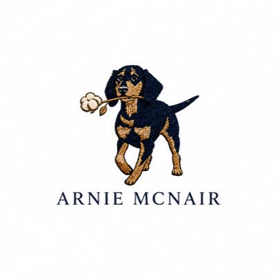 Arnie McNair ๐บ๐ธ's profile picture