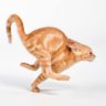 🐈 profil fotoğrafı