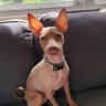 Фото профиля rich mc🇭🇹🇨🇦🐜