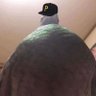 Profilbild von HRH