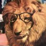 FSJr 2️⃣2️⃣ 🟩🟨🟦🇧🇷 🇺🇸 🐿️✈️'s profile picture