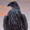 Фото профиля المنصب الوزيري العباسي الهاشمي 𓅓